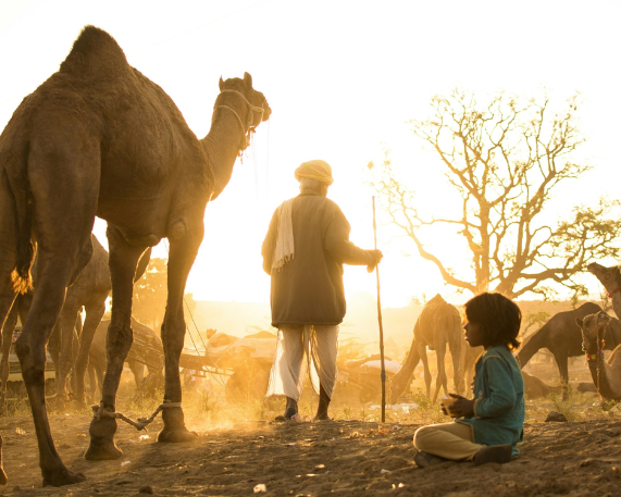 Scheme for Economic Empowerment of DNTs (SEED)