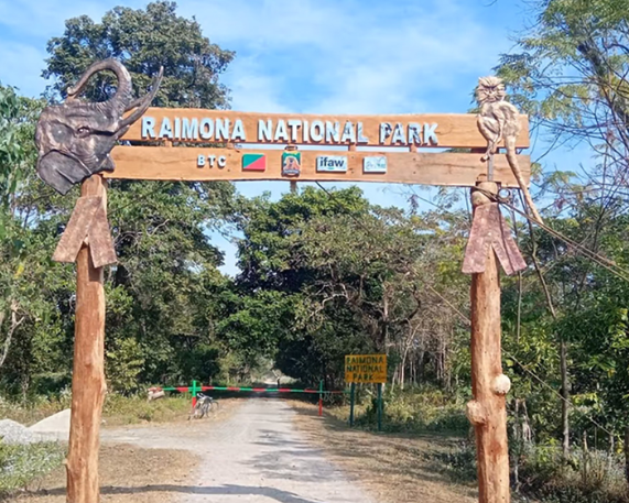 New Gecko Species Discovered in Raimona National Park