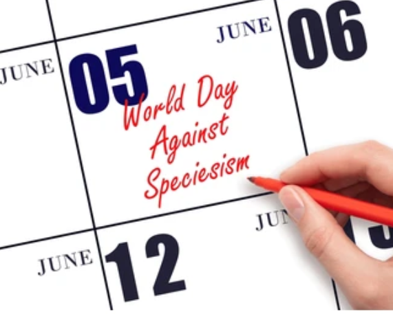 World Day Against Speciesism: 5 June