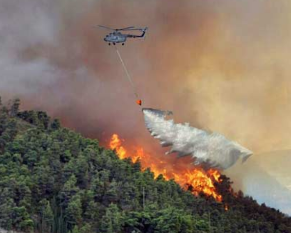 IAF Uses ‘Bambi Buckets’ to Combat Kasauli Forest Fires