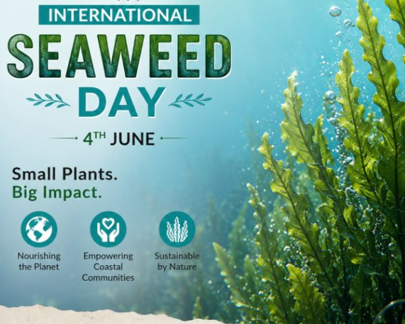 International Seaweed Day: 4 June