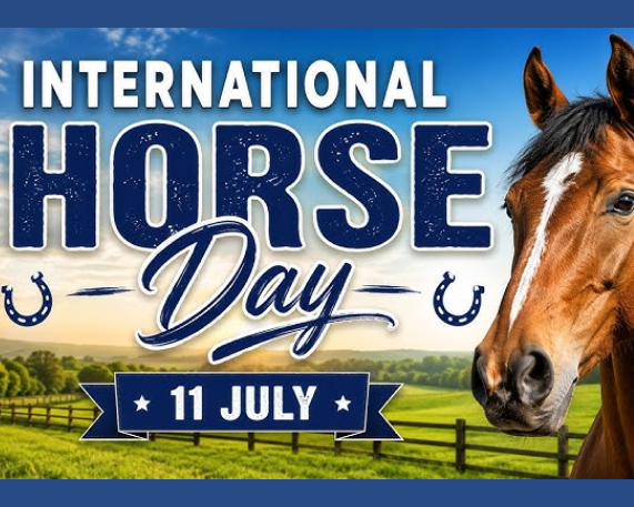 World Horse Day 2026: 11 July