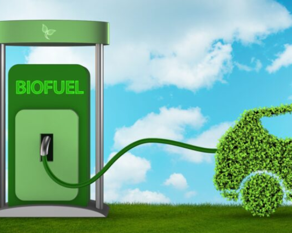 BPCL and CSE Sign MoU on Biofuels and Circular Economy