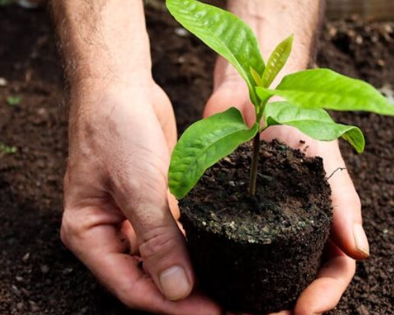 4th Indo-German Environmental Forum Held in New Delhi