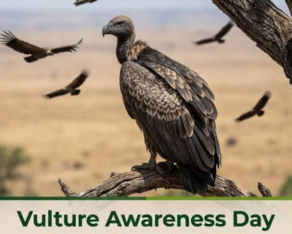 International Vulture Awareness Day 2026